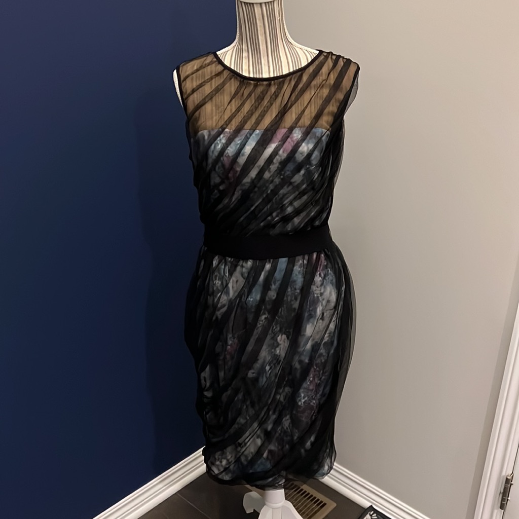 Tadashi Shoji Illusion Dress